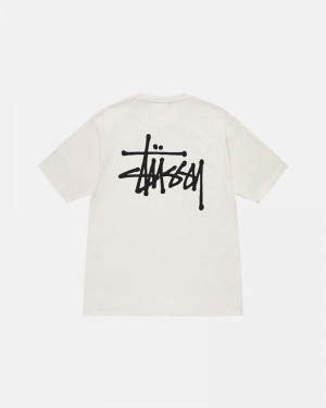 Stüssy Basic Pigment Dyed T-shirt Beige | Sverige 624VGUFXQ