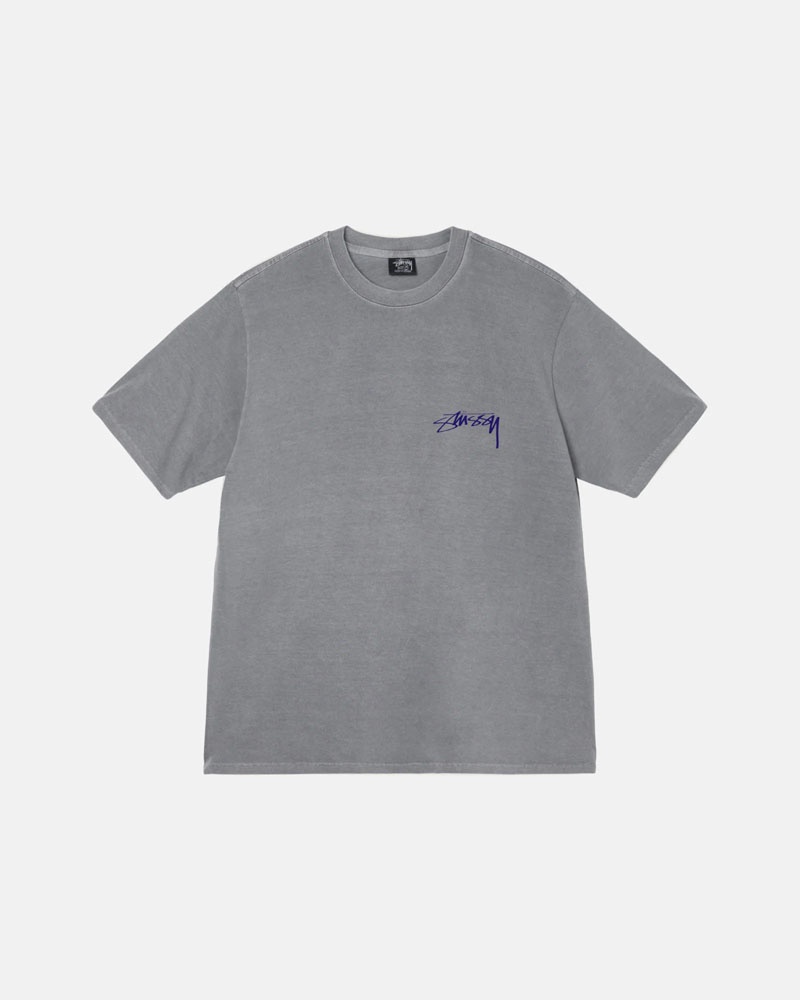 Stüssy Arachnid Pigment Dyed T-shirt Grå | Sverige 761EHVBOF