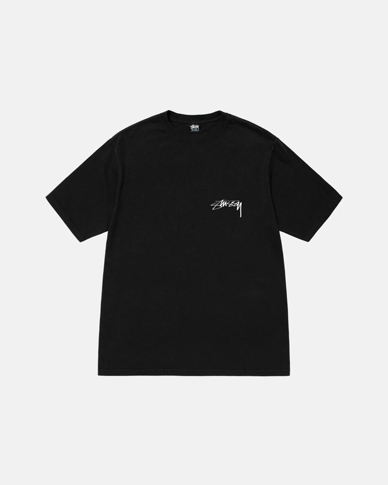 Stüssy Arachnid Pigment Dyed T-shirt Svarta | Sverige 065HIWERA