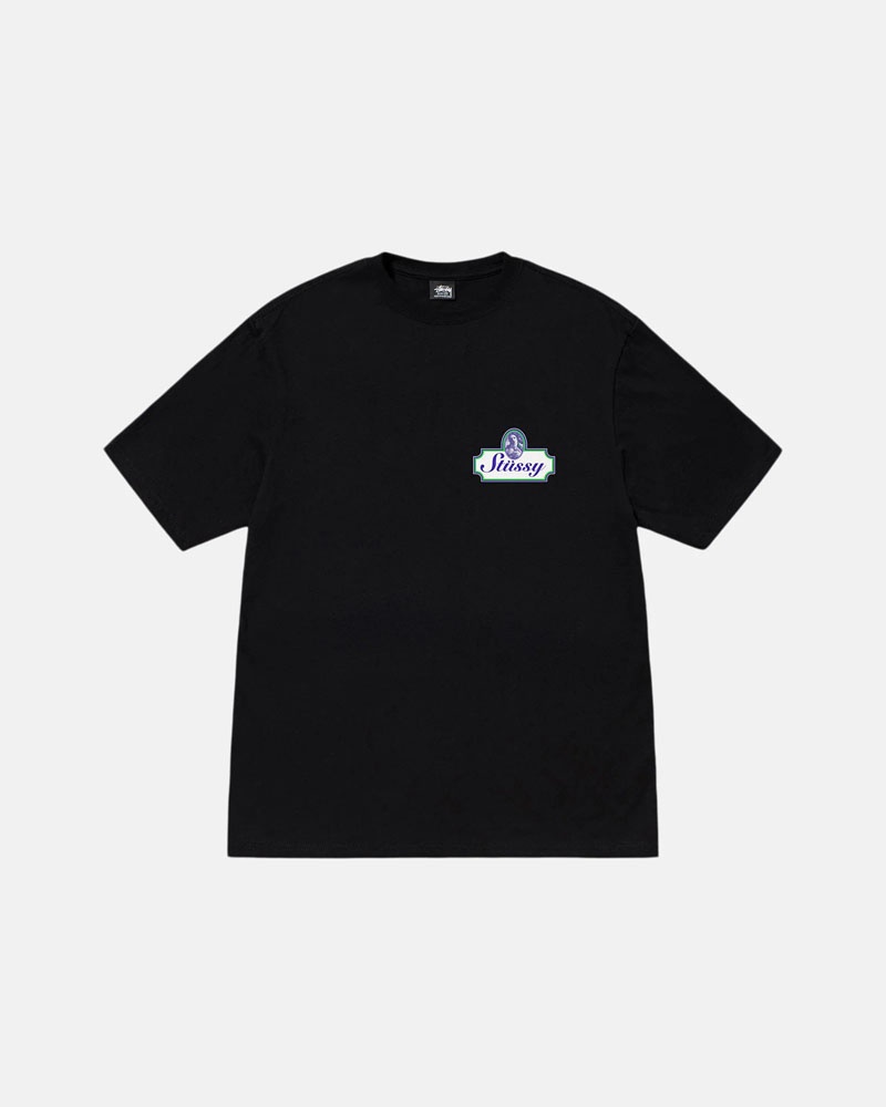 Stüssy Authentic T-shirt Svarta | Sverige 843DHBVYM