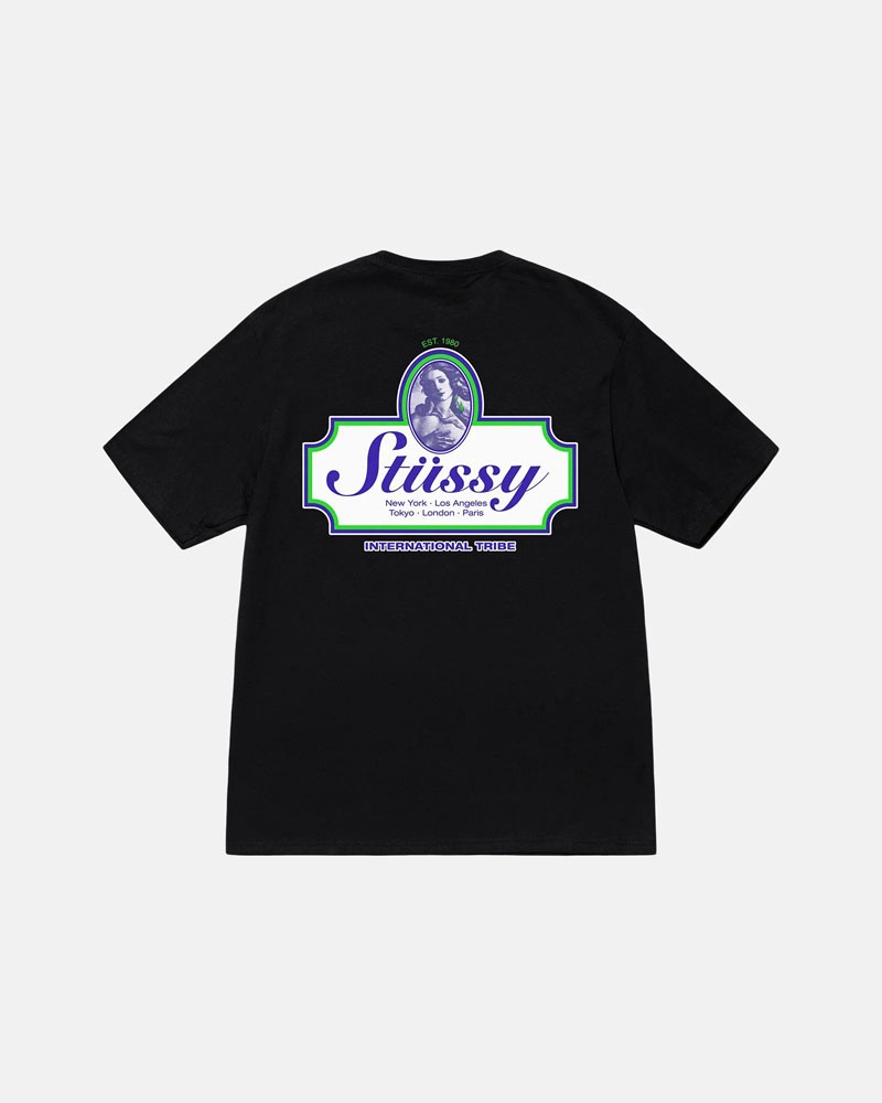 Stüssy Authentic T-shirt Svarta | Sverige 843DHBVYM