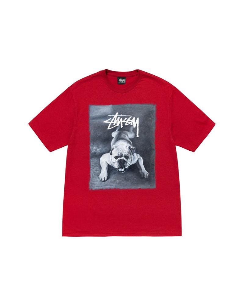 Stüssy Bulldog T-shirt Röda | Sverige 768HKBNGA