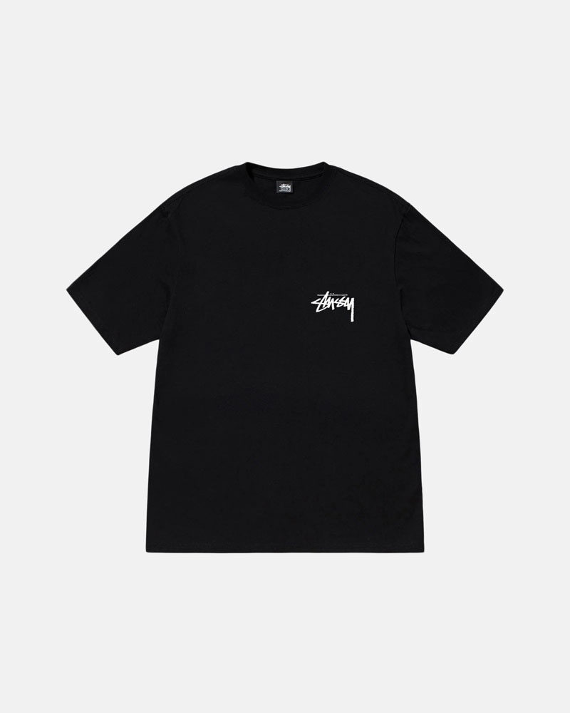 Stüssy Classroom T-shirt Svarta | Sverige 043FJVDMR