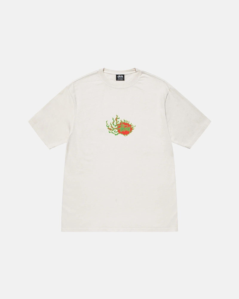 Stüssy Mosaic Dragon Pigment Dyed T-shirt Vita | Sverige 703MKSJYC