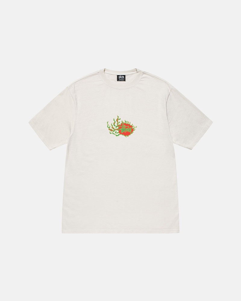 Stüssy Mosaic Dragon Pigment Dyed T-shirt Beige | Sverige 638IRZYMJ