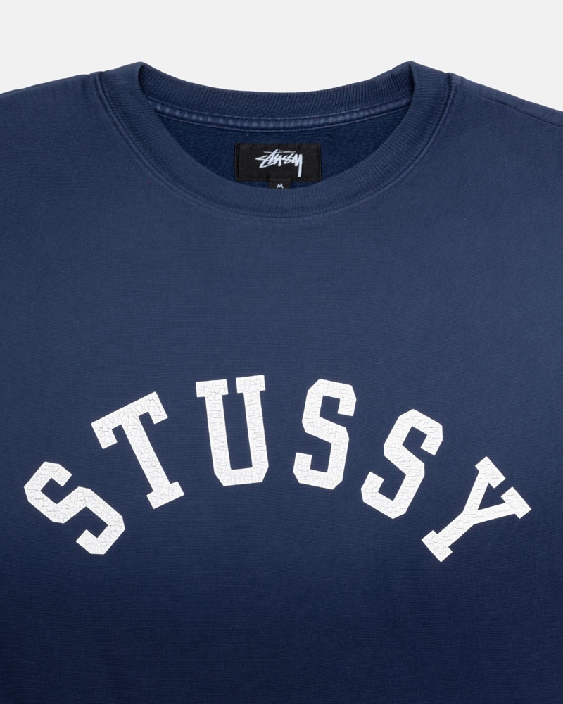 Stüssy Sun Faded Oversized Crew Sweatshirt Marinblå | Sverige 046RLUPQF