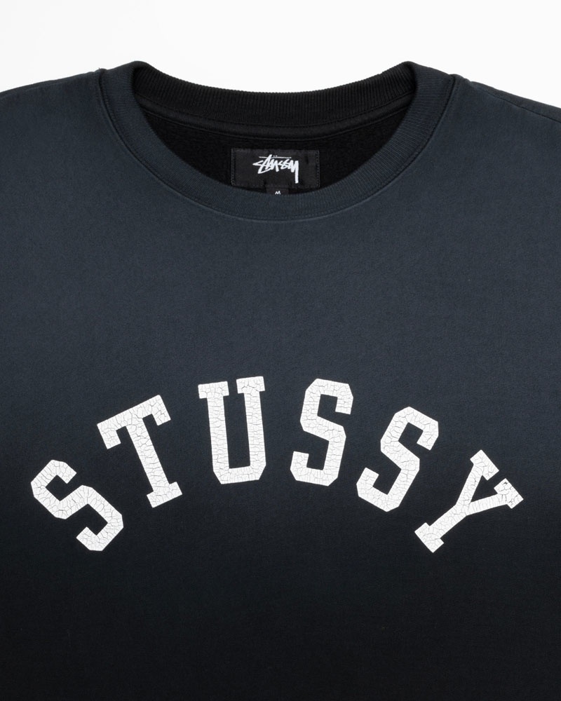 Stüssy Sun Faded Oversized Crew Sweatshirt Svarta | Sverige 538RUQDIN