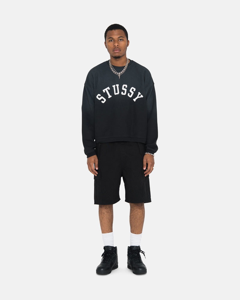 Stüssy Sun Faded Oversized Crew Sweatshirt Svarta | Sverige 538RUQDIN